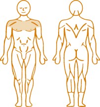 Мышцы, нагружаемые при работе на пневматическом тренажере Fly Enraf Nonius Мышцы, нагружаемые при работе на пневматическом тренажере Fly Enraf Nonius
