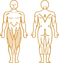 Мышцы, нагружаемые при работе на пневматическом тренажере Abduction Enraf Nonius Мышцы, нагружаемые при работе на пневматическом тренажере Abduction Enraf Nonius