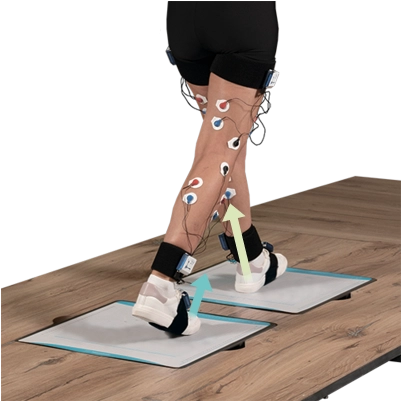 Динамометрическая платформа 3D комплекс Биокинект