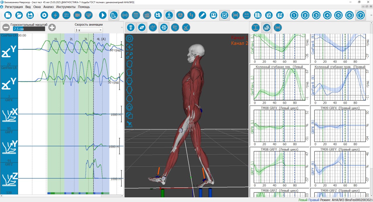 Комплекс Биомеханика Неврокор