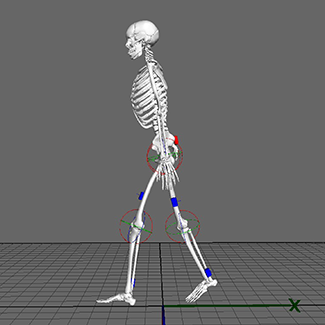 Тренажер ходьбы Биокинект