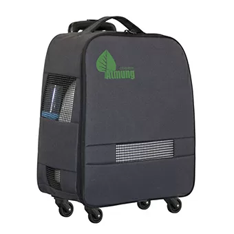 Концентратор Atmung LFY-I-3A-11 переносной с принадлежностями