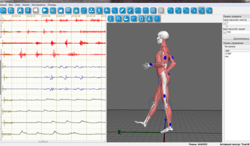 Комплекс Биомеханика Неврокор