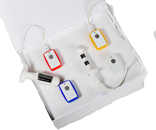 Комплекс БОС «Callibri BeFit PRO»