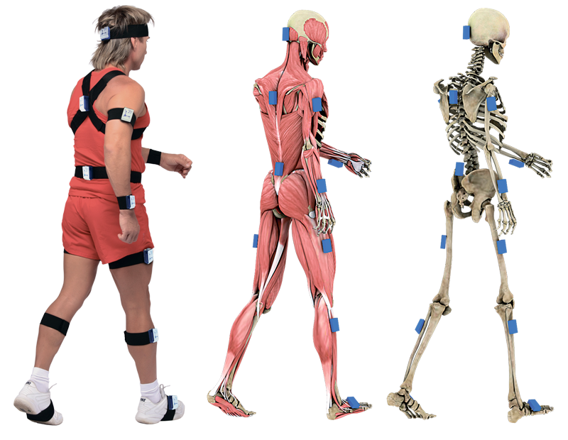 Комплекс Биомеханика Неврокор