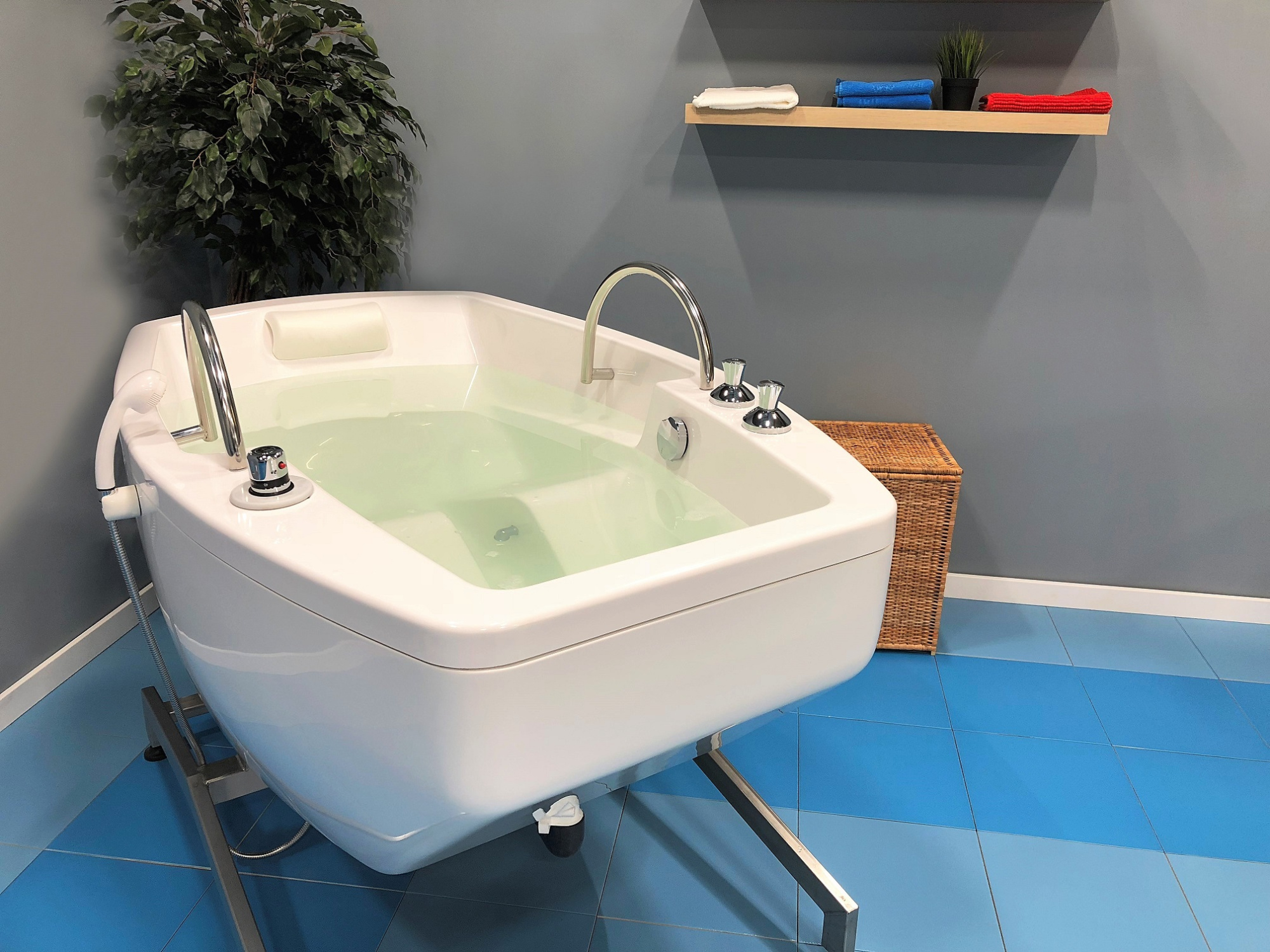 Многофункциональная водолечебная ванна Неман