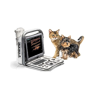 УЗИ сканеры ветеринарные